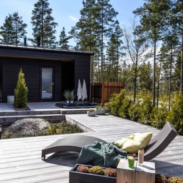 Leveä ulkoverhouspaneeli Topcoat-W 28x270 mm, sävy: ebenholz