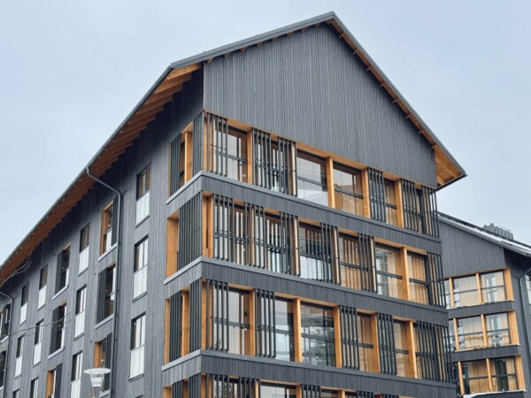 Fire-resistant cladding panel for the construction of a detached house