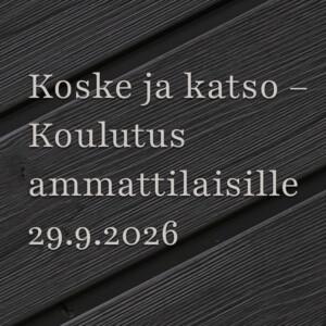 Koske ja katso koulutus ammattilaisille
